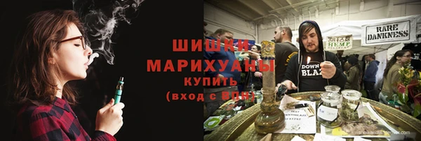 молекула духа Козловка