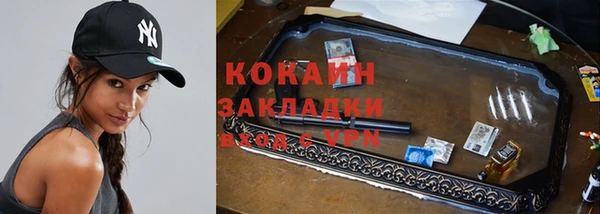 молекула духа Козловка