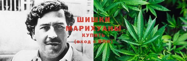молекула духа Козловка