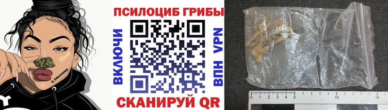 Галлюциногенные грибы GOLDEN TEACHER  Купить где  Покров 